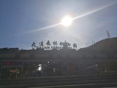 -大连森林动物园