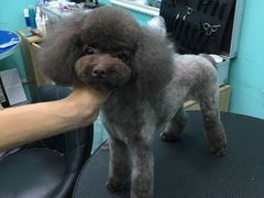 -宠伴小精灵宠物店(鼓楼店)