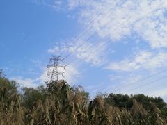 -西湖风景区-江洋畈生态公园