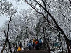 -紫金山山顶公园
