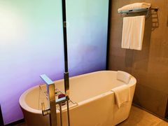 -南京禄口机场雅高铂尔曼大酒店