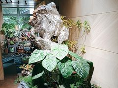 -棕榈岛海鲜自助餐厅(虹桥迎宾馆店)