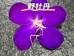 -杨厝六十六农庄农舍(杨厝路店)