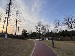 -两河城市森林公园