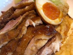 金奖卤鹅肉饭-陈鹏鹏潮汕菜(宝安机场T3航站楼店)