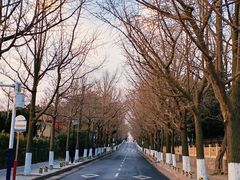 -青岛第三海水浴场