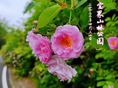 -宝界山林公园
