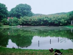 -河南省黄河迎宾馆