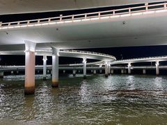 -演武大桥观景平台