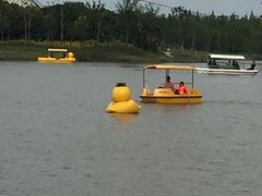 -上海长兴岛郊野公园