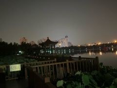 -莲花池公园