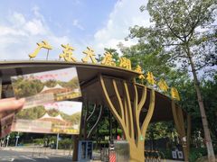 -天鹿湖森林公园