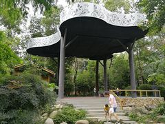 -成都市活水公园