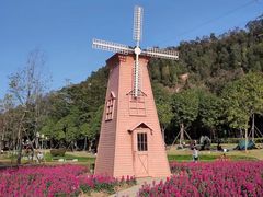 -顺峰山公园