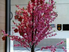 桃花-麦当劳(长泰商业广场店)