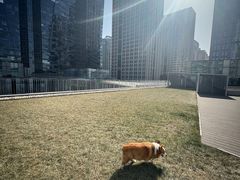 -百好乐宠物友好餐厅(朝外大街店)