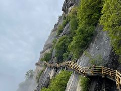 -陕西省红河谷森林公园