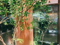 -大神太神·铁板烧(瑞虹天地月亮湾店)