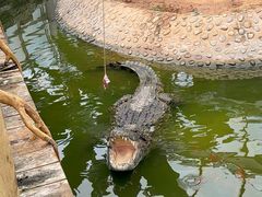 -石家庄市动物园