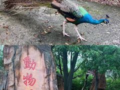 -庐山西海主景区