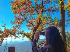 -广州市石门国家森林公园