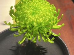 -大拙里·精致融合菜(沙湖桃源国际店)