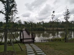 -上海长兴岛郊野公园