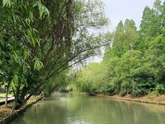 -同里国家湿地公园