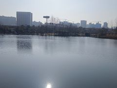 -洋湖国家湿地公园