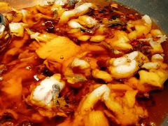 -雲蜀龙阁·金牌水煮鱼(方庄店)