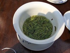 -见山书院
