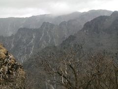 -牛背梁国家森林公园