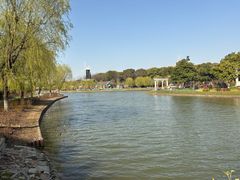 -上海鲜花港
