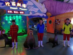 -烟台海昌鲸鲨海洋公园