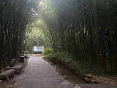 -竹泉村旅游度假区