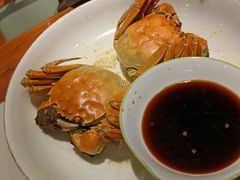 -松沪名灶·豆浆鱼头·新上海菜(飞航吾悦广场店)