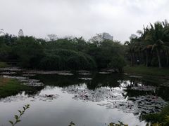 -白沙门生态公园