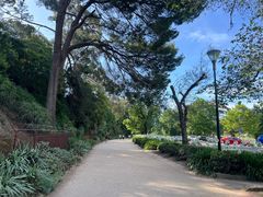 -墨尔本皇家植物园