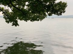 -西湖游船