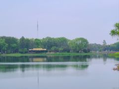 -虎丘湿地公园