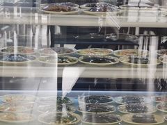 -庆丰包子铺(回龙观店)