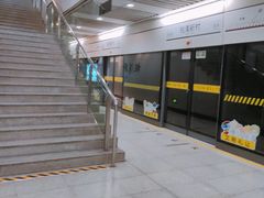 -桃浦新村(地铁站)