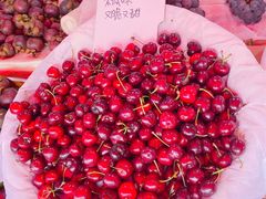 -红星农博物流中心