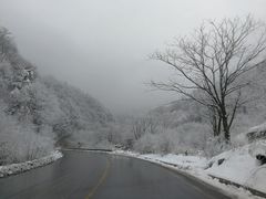 -青峰峡国家森林公园