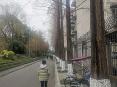 -成飞公园