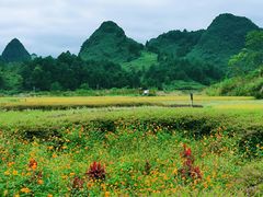 -靖西鹅泉风景区
