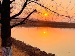 -永定河休闲森林公园