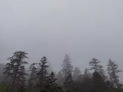 -玉龙雪山游客服务中心