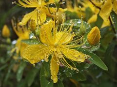 -奥特莱斯停车场