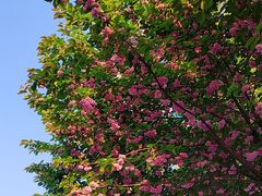 -唐城墙遗址公园